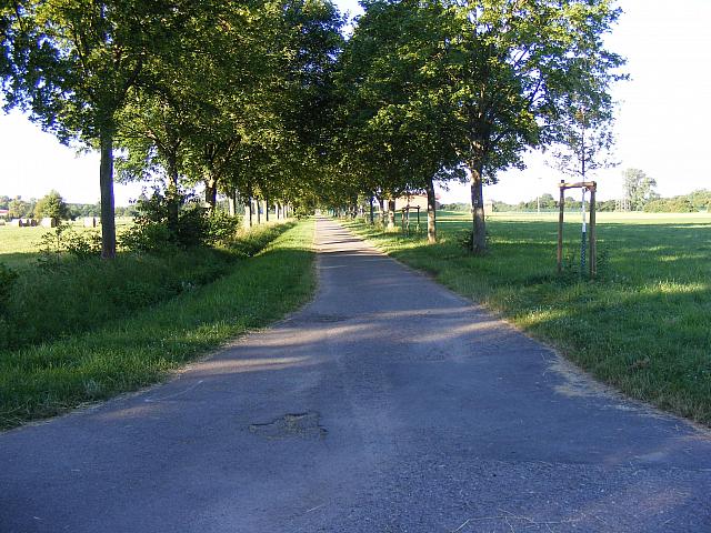 DSCF0004