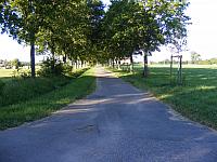 DSCF0004